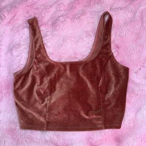 Velvet Crop Top in Brown